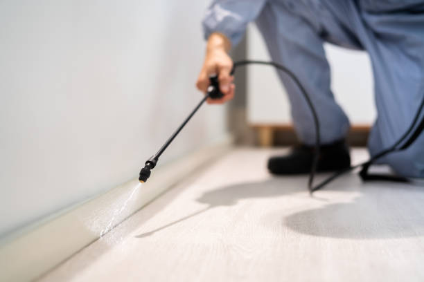 Bed Bug Pre-Treatment Preparation Assessment in Arthurdale