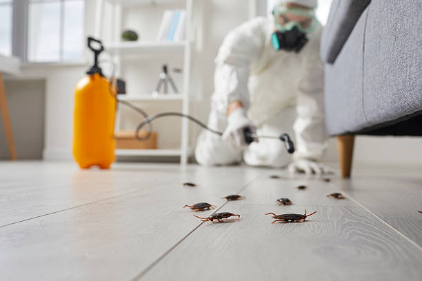 Post-Treatment Bed Bug Interceptor Monitoring in Arthurdale
