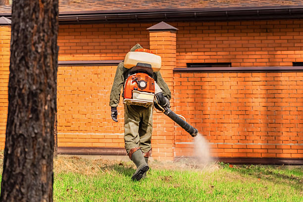 Bed Bug Clearance Verification and Documentation in Arthurdale
